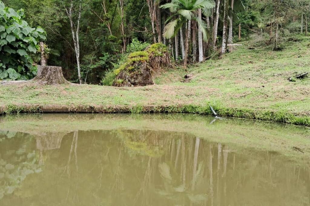 Sitio Som Das Aguas Benedito Novo Dış mekan fotoğraf