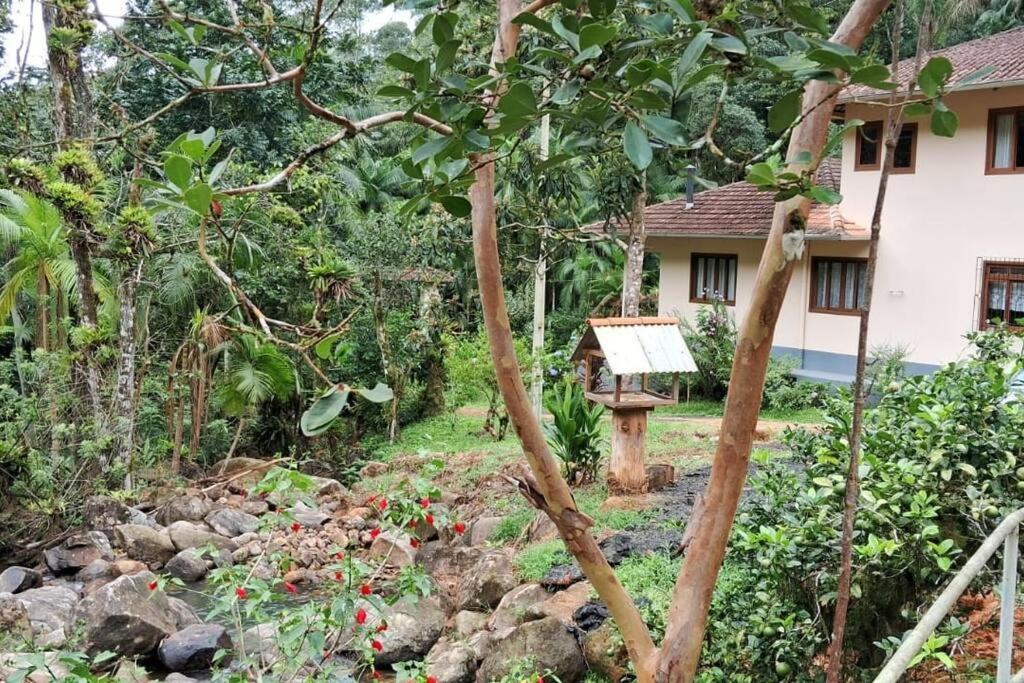 Sitio Som Das Aguas Benedito Novo Dış mekan fotoğraf