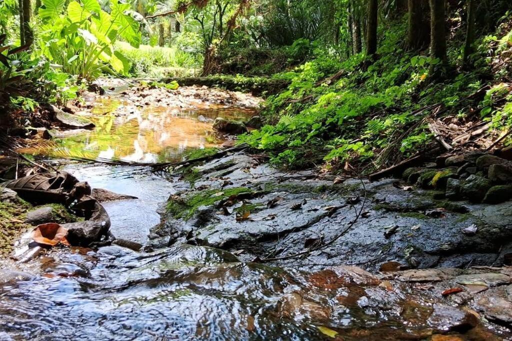 Sitio Som Das Aguas Benedito Novo Dış mekan fotoğraf