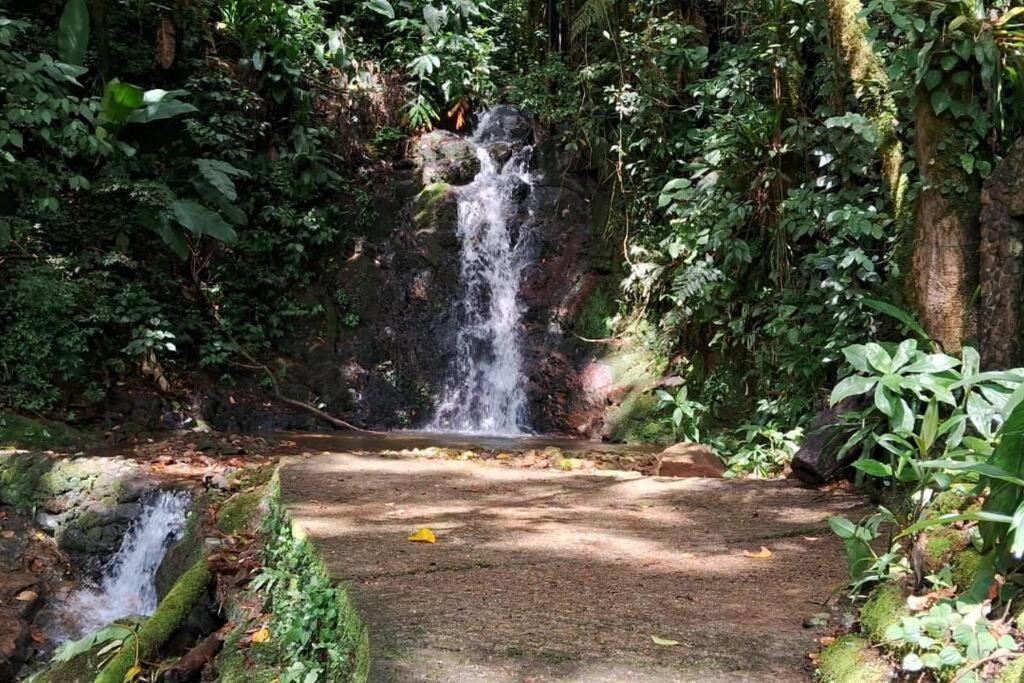 Sitio Som Das Aguas Benedito Novo Dış mekan fotoğraf