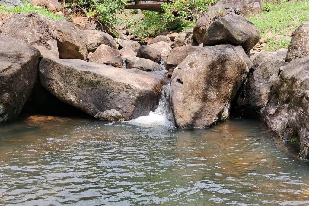 Sitio Som Das Aguas Benedito Novo Dış mekan fotoğraf