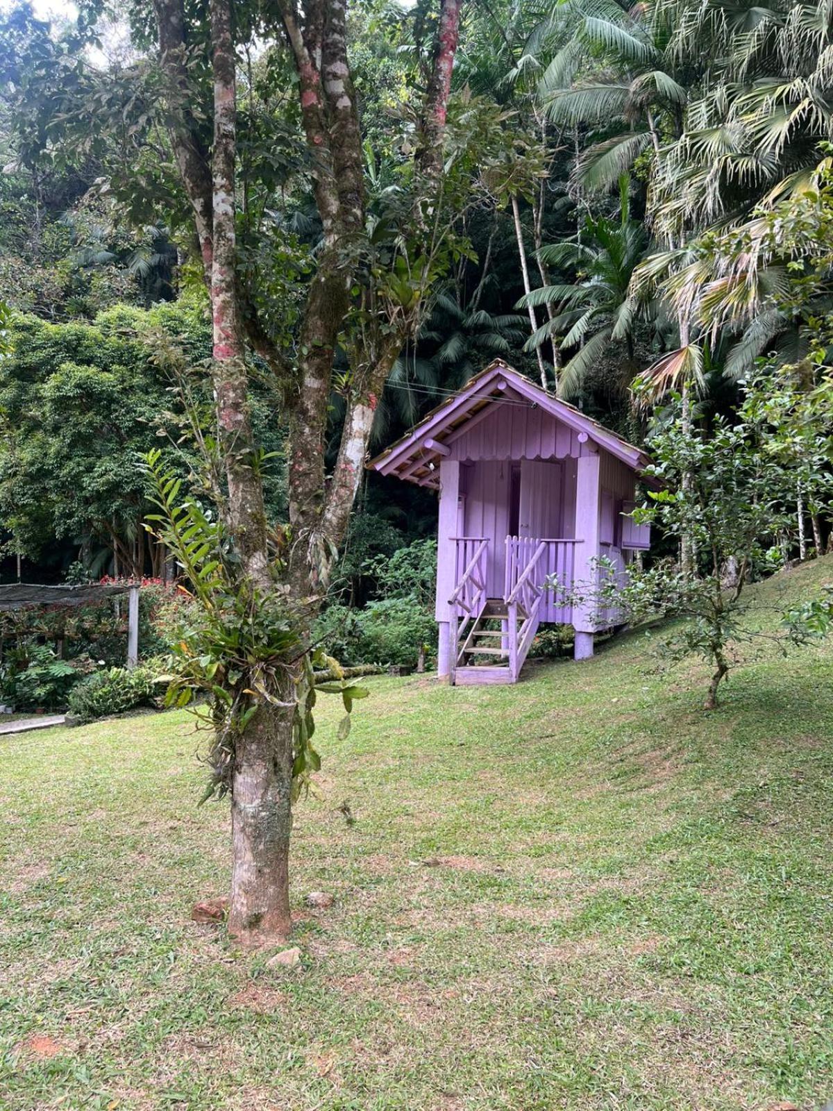 Sitio Som Das Aguas Benedito Novo Dış mekan fotoğraf