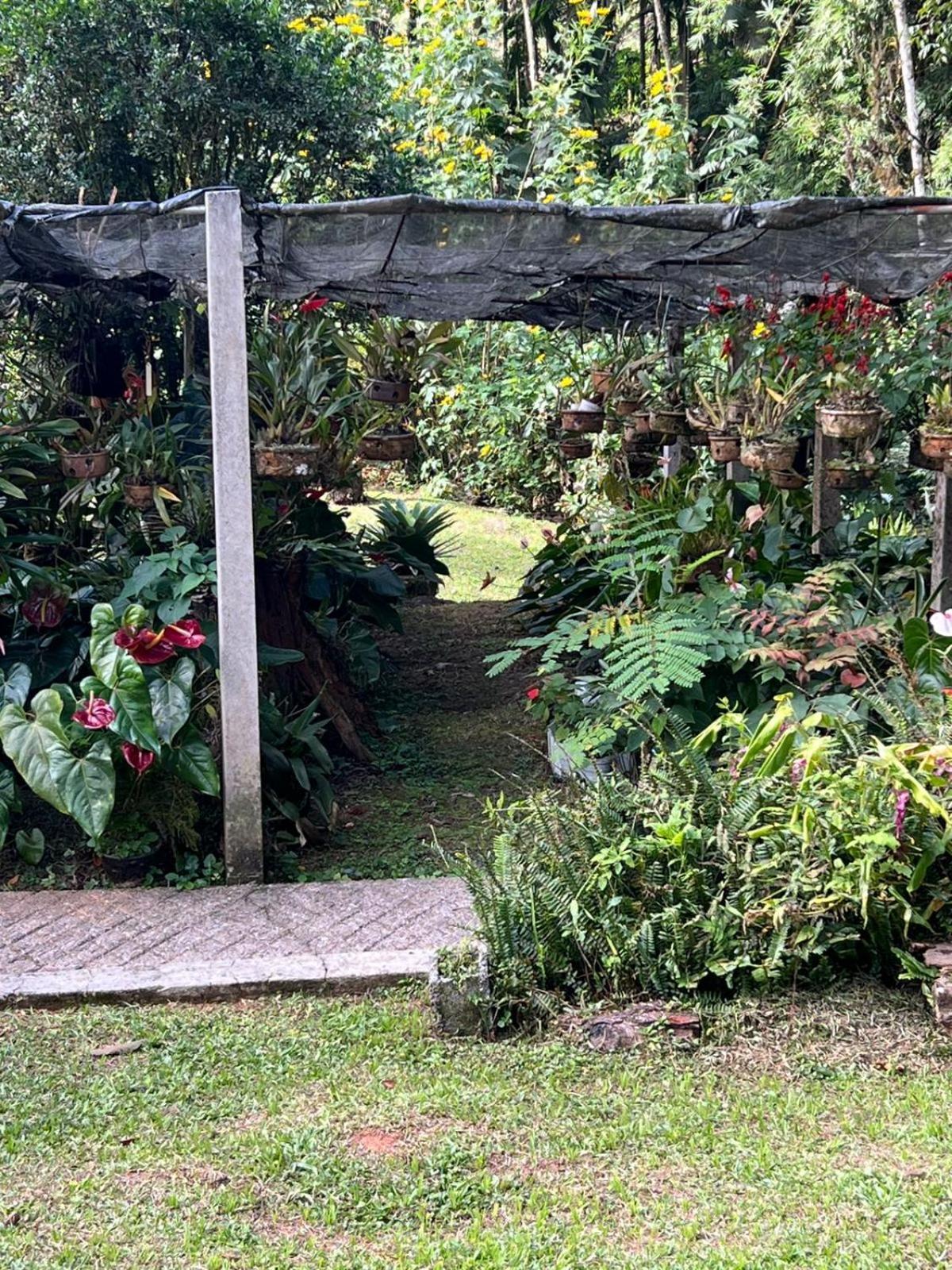 Sitio Som Das Aguas Benedito Novo Dış mekan fotoğraf
